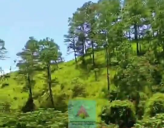 Terreno agrícola con cultivos y montañas en Honduras