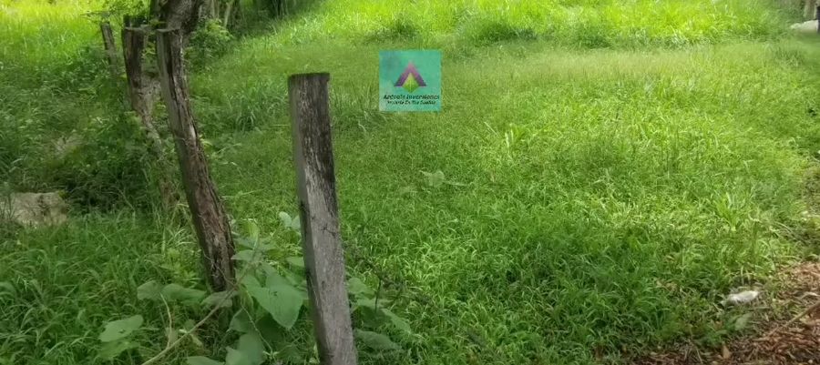 Terreno con cultivos aptos para actividades agrícolas