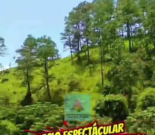 Propiedad con potencial para desarrollar nuevos proyectos